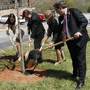 Planting Oak Tree