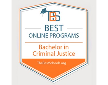 best online criminal justice 376x296