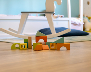 Early Childhood Education/SC Licensure