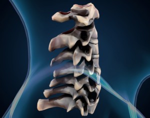 Biology: Chiropractic 3+3.5 (Dual Degree)