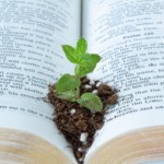 Church Planting & Revitalization: Certificate