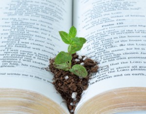Church Planting & Revitalization: Certificate