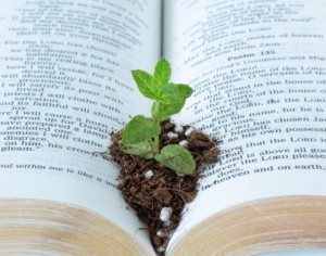 Church Planting & Revitalization