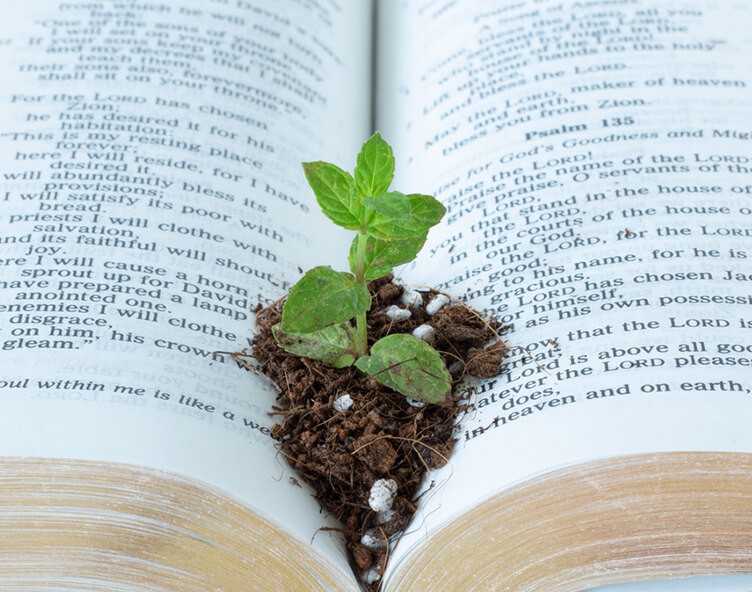 church-planting-revitalization-fi
