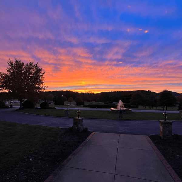 Beautiful pinkish sunset on NGU campus