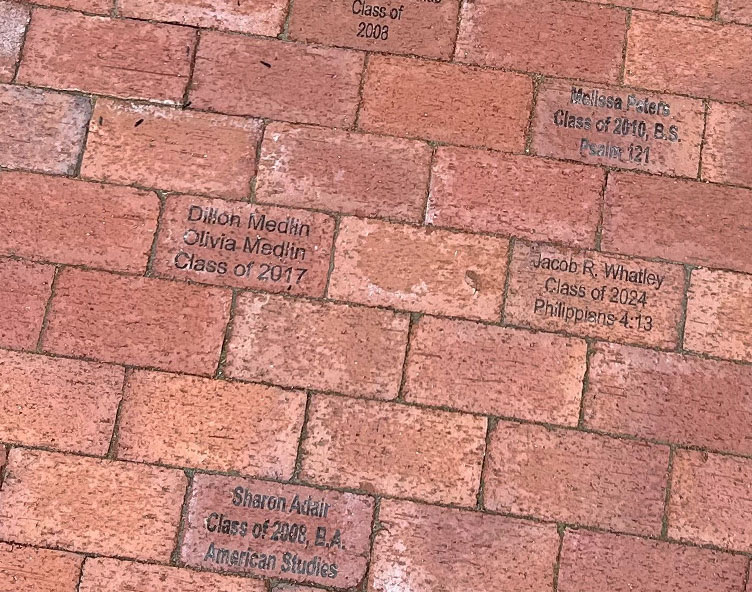 Light On a Hill Brick Campaign