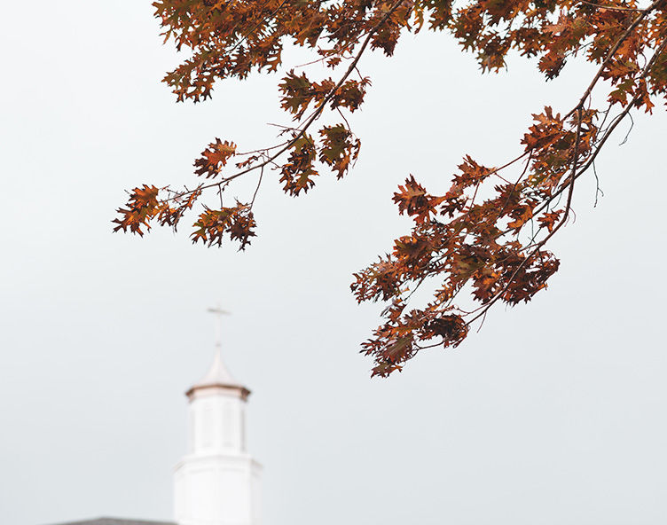 fall leaves on campus