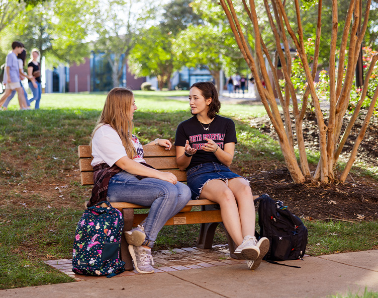students chatting on a bench