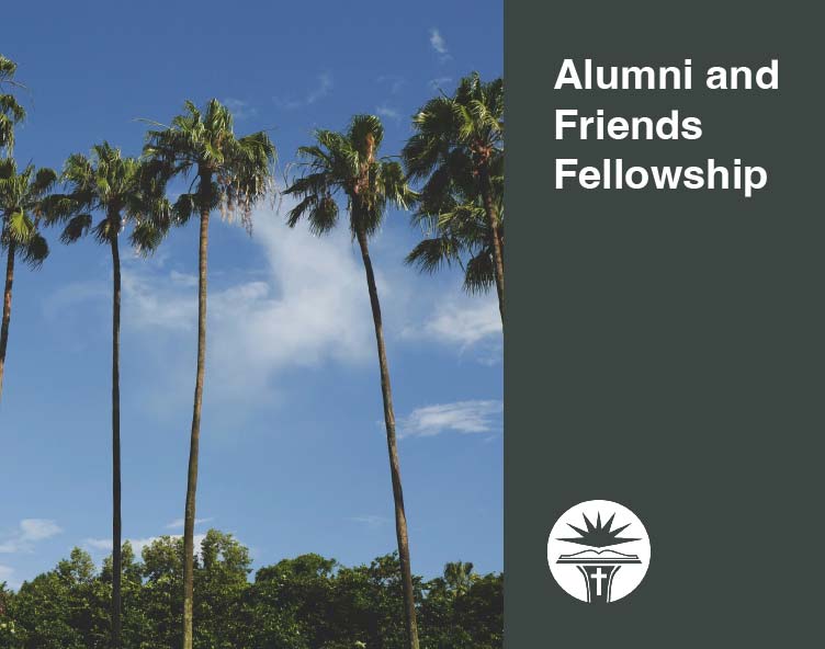 palms tree in orlando